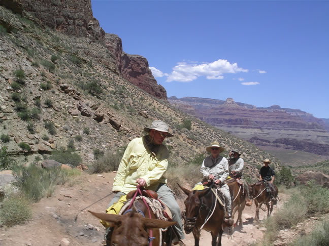 images/A-Mule Ride- returning to the Rim (4).jpg